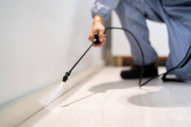 Licensed Termite Control service in Ashland, VA - Nex Pest Control