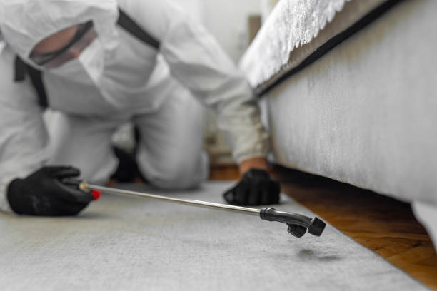 Professional Termite Control technician working in Ashland, VA