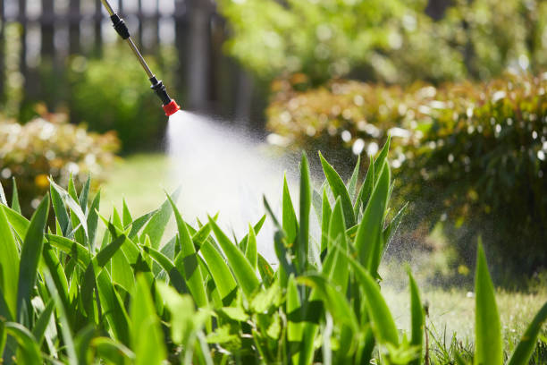 24/7 Emergency Termite Control experts in Ashland, VA