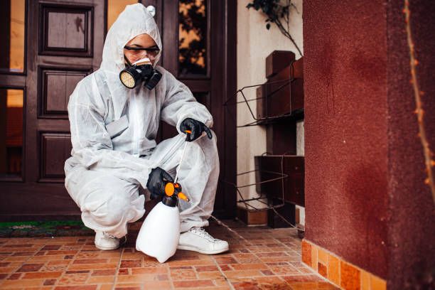 Reliable Termite Control contractor in Ashland, VA by Nex Pest Control