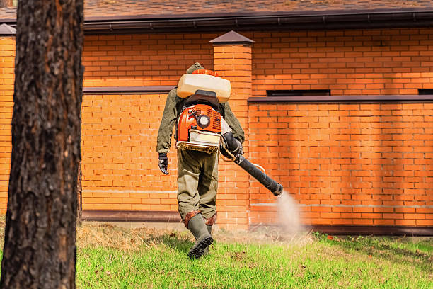 Top rated local Termite Control specialists in Ashland, VA